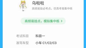 科目一仿真考试100分下裁_科目一仿真考