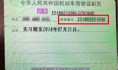 驾驶证查询入口_驾驶证查询入口官网