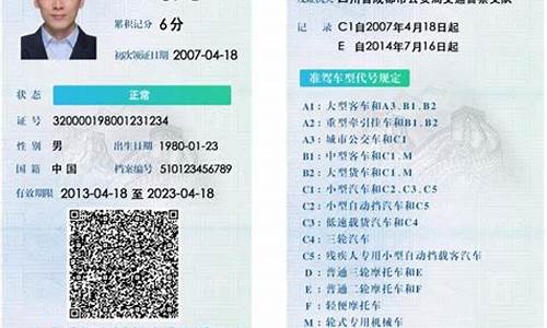 驾驶证怎么查询电子版_网约车驾驶证怎么查询电子版