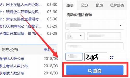 怎样查交通违章查询车辆违章查询_怎样查交通违章查询车辆违章查询结果